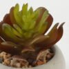 Artificial succulent 6*6*8cm Artificial succulent in Cement pot GS-51722127 Succulent YeahFlower is one of Chinese leading OEM manufacturers and exporters , supplying the silk flowers, wholesale artificial trees