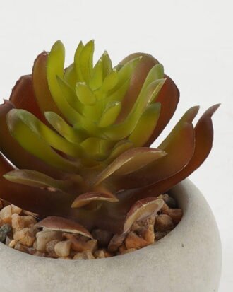 Artificial succulent 6*6*8cm Artificial succulent in Cement pot GS-51722127 Succulent YeahFlower is one of Chinese leading OEM manufacturers and exporters , supplying the silk flowers, wholesale artificial trees