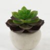Artificial succulent 8*8*8cm Artificial succulent in Cement pot GS-51722128 Succulent YeahFlower is one of Chinese leading OEM manufacturers and exporters , supplying the silk flowers, wholesale artificial trees