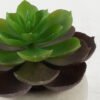 Artificial succulent 8*8*8cm Artificial succulent in Cement pot GS-51722128 Succulent YeahFlower is one of Chinese leading OEM manufacturers and exporters , supplying the silk flowers, wholesale artificial trees