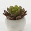 Artificial succulent 8*8*7cm Artificial succulent in Cement pot GS-51722129 Succulent YeahFlower is one of Chinese leading OEM manufacturers and exporters , supplying the silk flowers, wholesale artificial trees