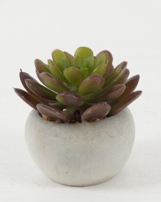 Artificial succulent 8*8*7cm Artificial succulent in Cement pot GS-51722129 Succulent YeahFlower is one of Chinese leading OEM manufacturers and exporters , supplying the silk flowers, wholesale artificial trees