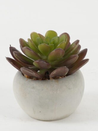 Artificial succulent 8*8*8cm Artificial succulent in Cement pot GS-51722128 Succulent 3,000+ sqm showroom with thousands of artificial flowers, plants & trees ready for global sourcing.
