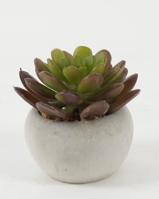 Artificial succulent 8*8*7cm Artificial succulent in Cement pot GS-51722129 Succulent YeahFlower is one of Chinese leading OEM manufacturers and exporters , supplying the silk flowers, wholesale artificial trees