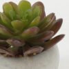 Artificial succulent 8*8*7cm Artificial succulent in Cement pot GS-51722129 Succulent YeahFlower is one of Chinese leading OEM manufacturers and exporters , supplying the silk flowers, wholesale artificial trees