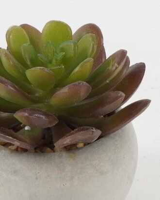 Artificial succulent 8*8*7cm Artificial succulent in Cement pot GS-51722129 Succulent YeahFlower is one of Chinese leading OEM manufacturers and exporters , supplying the silk flowers, wholesale artificial trees