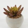 Artificial succulent in Cement pot GS-51722130 Artificial succulent 7*7*7cm Artificial succulent in Cement pot GS-51722130 Succulent YeahFlower is one of Chinese leading OEM manufacturers and exporters , supplying the silk flowers, wholesale artificial trees