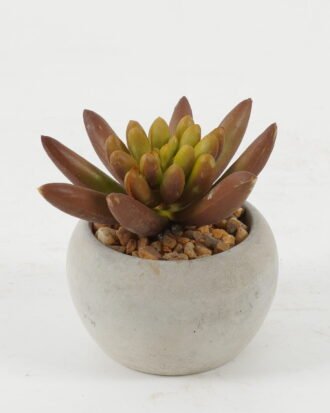 Artificial succulent 7*7*7cm Artificial succulent in Cement pot GS-51722130 Succulent YeahFlower is one of Chinese leading OEM manufacturers and exporters , supplying the silk flowers, wholesale artificial trees