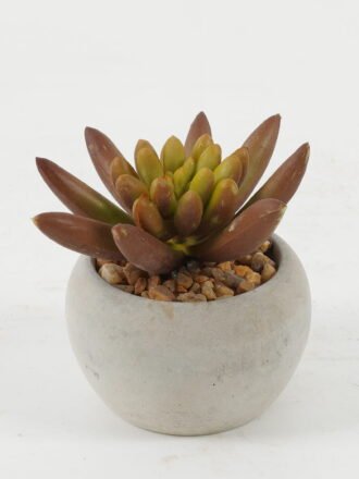 Artificial succulent 7*7*8cm Artificial succulent in Cement pot GS-51722131 Succulent 3,000+ sqm showroom with thousands of artificial flowers, plants & trees ready for global sourcing.
