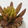 Artificial succulent in Cement pot GS-51722130_1 Artificial succulent 7*7*7cm Artificial succulent in Cement pot GS-51722130 Succulent YeahFlower is one of Chinese leading OEM manufacturers and exporters , supplying the silk flowers, wholesale artificial trees