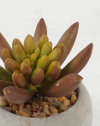 Artificial succulent 7*7*7cm Artificial succulent in Cement pot GS-51722130 Succulent YeahFlower is one of Chinese leading OEM manufacturers and exporters , supplying the silk flowers, wholesale artificial trees