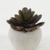Artificial succulent 7*7*8cm Artificial succulent in Cement pot GS-51722131 Succulent YeahFlower is one of Chinese leading OEM manufacturers and exporters , supplying the silk flowers, wholesale artificial trees