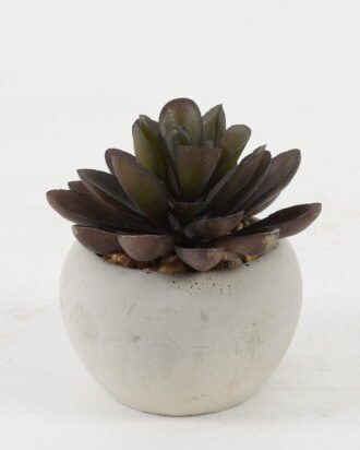 Artificial succulent 7*7*8cm Artificial succulent in Cement pot GS-51722131 Succulent YeahFlower is one of Chinese leading OEM manufacturers and exporters , supplying the silk flowers, wholesale artificial trees