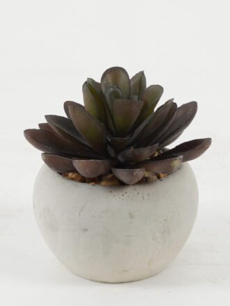 Artificial succulent 7*7*7cm Artificial succulent in Cement pot GS-51722130 Succulent 3,000+ sqm showroom with thousands of artificial flowers, plants & trees ready for global sourcing.