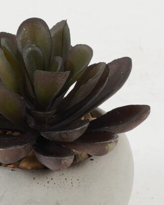 Artificial succulent 7*7*8cm Artificial succulent in Cement pot GS-51722131 Succulent YeahFlower is one of Chinese leading OEM manufacturers and exporters , supplying the silk flowers, wholesale artificial trees