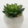 Artificial succulent in Cement pot GS-51722132 Artificial succulent 7*7*7cm Artificial succulent in Cement pot GS-51722132 Succulent YeahFlower is one of Chinese leading OEM manufacturers and exporters , supplying the silk flowers, wholesale artificial trees