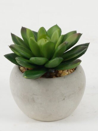 Artificial succulent 5*5*7cm Artificial succulent in Cement pot GS-51722133 Succulent 3,000+ sqm showroom with thousands of artificial flowers, plants & trees ready for global sourcing.
