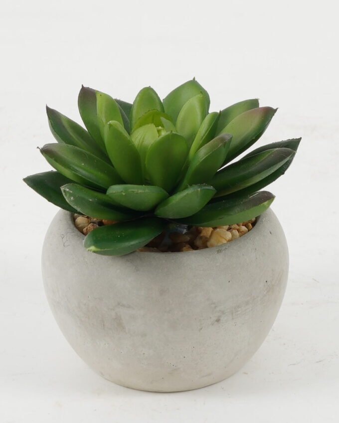 Artificial succulent in Cement pot GS-51722132 Artificial succulent 7*7*7cm Artificial succulent in Cement pot GS-51722132 Succulent YeahFlower is one of Chinese leading OEM manufacturers and exporters , supplying the silk flowers, wholesale artificial trees