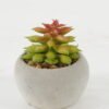 Artificial succulent 5*5*7cm Artificial succulent in Cement pot GS-51722133 Succulent YeahFlower is one of Chinese leading OEM manufacturers and exporters , supplying the silk flowers, wholesale artificial trees