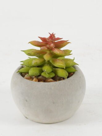 Artificial succulent 7*7*7cm Artificial succulent in Cement pot GS-51722132 Succulent 3,000+ sqm showroom with thousands of artificial flowers, plants & trees ready for global sourcing.