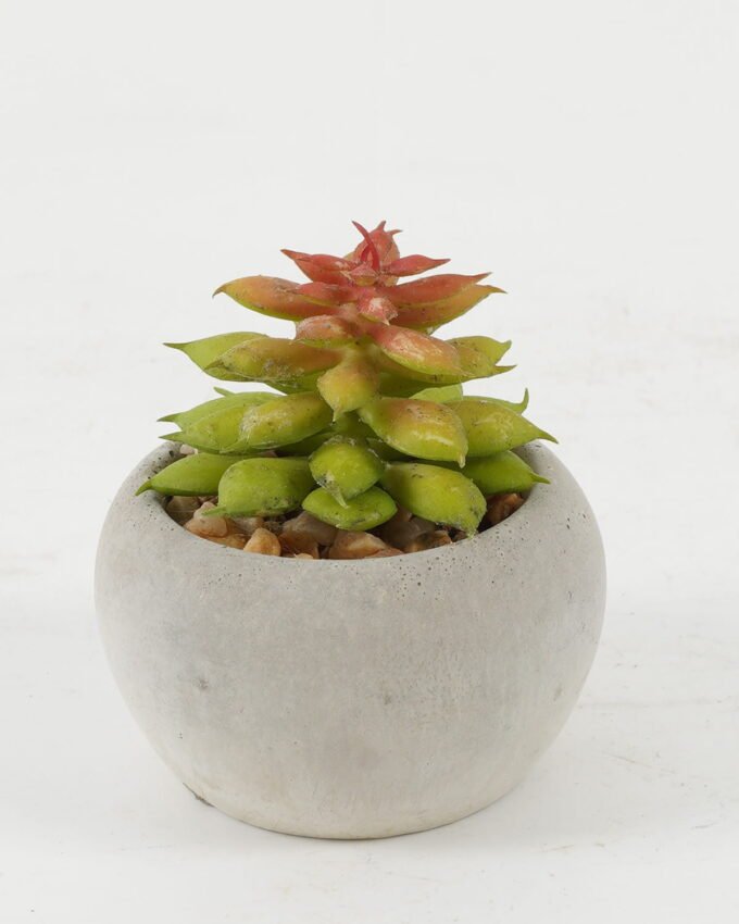 Artificial succulent 5*5*7cm Artificial succulent in Cement pot GS-51722133 Succulent YeahFlower is one of Chinese leading OEM manufacturers and exporters , supplying the silk flowers, wholesale artificial trees