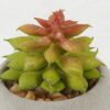 Artificial succulent 5*5*7cm Artificial succulent in Cement pot GS-51722133 Succulent YeahFlower is one of Chinese leading OEM manufacturers and exporters , supplying the silk flowers, wholesale artificial trees