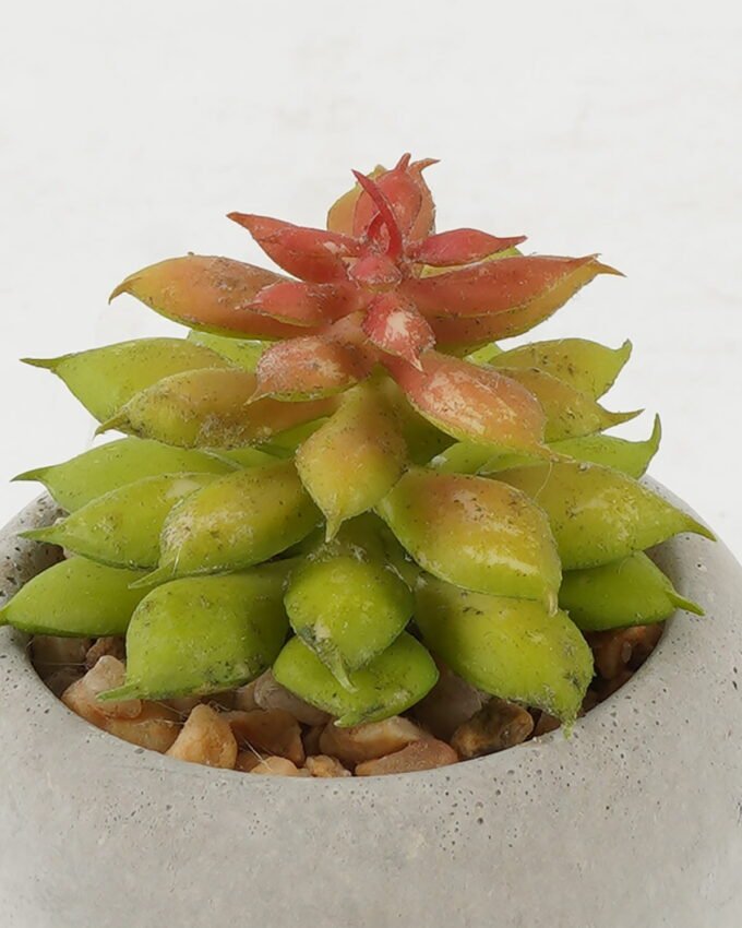 Artificial succulent 5*5*7cm Artificial succulent in Cement pot GS-51722133 Succulent YeahFlower is one of Chinese leading OEM manufacturers and exporters , supplying the silk flowers, wholesale artificial trees