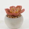 Artificial succulent 7*7*6cm Artificial succulent in Cement pot GS-51722134 Succulent YeahFlower is one of Chinese leading OEM manufacturers and exporters , supplying the silk flowers, wholesale artificial trees