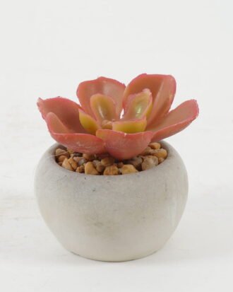 Artificial succulent 7*7*6cm Artificial succulent in Cement pot GS-51722134 Succulent YeahFlower is one of Chinese leading OEM manufacturers and exporters , supplying the silk flowers, wholesale artificial trees