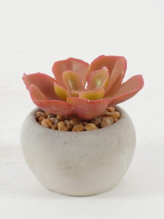 Artificial succulent 5*5*7cm Artificial succulent in Cement pot GS-51722133 Succulent 3,000+ sqm showroom with thousands of artificial flowers, plants & trees ready for global sourcing.