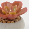 Artificial succulent 7*7*6cm Artificial succulent in Cement pot GS-51722134 Succulent YeahFlower is one of Chinese leading OEM manufacturers and exporters , supplying the silk flowers, wholesale artificial trees
