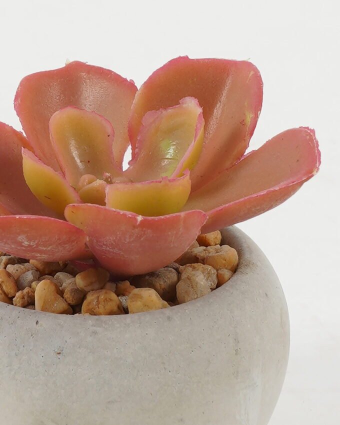 Artificial succulent 7*7*6cm Artificial succulent in Cement pot GS-51722134 Succulent YeahFlower is one of Chinese leading OEM manufacturers and exporters , supplying the silk flowers, wholesale artificial trees