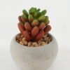 Artificial succulent 5*5*8cm Artificial succulent in Cement pot GS-51722135 Succulent YeahFlower is one of Chinese leading OEM manufacturers and exporters , supplying the silk flowers, wholesale artificial trees