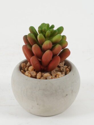 Artificial succulent 6*6*9cm Artificial succulent in Cement pot GS-51722136 Succulent 3,000+ sqm showroom with thousands of artificial flowers, plants & trees ready for global sourcing.