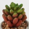Artificial succulent 5*5*8cm Artificial succulent in Cement pot GS-51722135 Succulent YeahFlower is one of Chinese leading OEM manufacturers and exporters , supplying the silk flowers, wholesale artificial trees