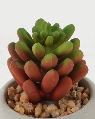 Artificial succulent 5*5*8cm Artificial succulent in Cement pot GS-51722135 Succulent YeahFlower is one of Chinese leading OEM manufacturers and exporters , supplying the silk flowers, wholesale artificial trees