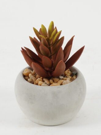 Artificial succulent 5*5*8cm Artificial succulent in Cement pot GS-51722135 Succulent 3,000+ sqm showroom with thousands of artificial flowers, plants & trees ready for global sourcing.