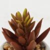 Artificial succulent 6*6*9cm Artificial succulent in Cement pot GS-51722136 Succulent YeahFlower is one of Chinese leading OEM manufacturers and exporters , supplying the silk flowers, wholesale artificial trees