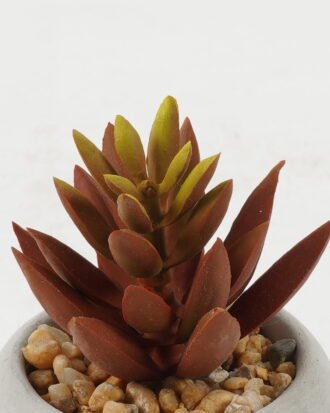 Artificial succulent 6*6*9cm Artificial succulent in Cement pot GS-51722136 Succulent YeahFlower is one of Chinese leading OEM manufacturers and exporters , supplying the silk flowers, wholesale artificial trees