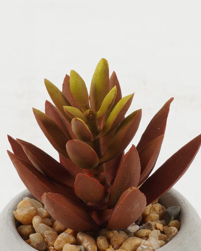 Artificial succulent 6*6*9cm Artificial succulent in Cement pot GS-51722136 Succulent YeahFlower is one of Chinese leading OEM manufacturers and exporters , supplying the silk flowers, wholesale artificial trees