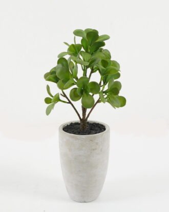 Artificial succulent 17*17*36cm Artificial succulent in Cement pot GS-51722148 Succulent YeahFlower is one of Chinese leading OEM manufacturers and exporters , supplying the silk flowers, wholesale artificial trees Artificial succulent 17*17*36cm Artificial succulent in Cement pot GS-51722148 Succulent YeahFlower is one of Chinese leading OEM manufacturers and exporters , supplying the silk flowers, wholesale artificial trees