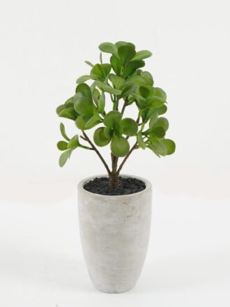 Artificial succulent 12*12*13cm Artificial succulent in ceramic pot GS-51722108 Succulent 3,000+ sqm showroom with thousands of artificial flowers, plants & trees ready for global sourcing.