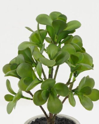 Artificial succulent 17*17*36cm Artificial succulent in Cement pot GS-51722148 Succulent YeahFlower is one of Chinese leading OEM manufacturers and exporters , supplying the silk flowers, wholesale artificial trees Artificial succulent 17*17*36cm Artificial succulent in Cement pot GS-51722148 Succulent YeahFlower is one of Chinese leading OEM manufacturers and exporters , supplying the silk flowers, wholesale artificial trees