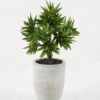 Artificial succulent in Cement pot GS-51722149 Artificial succulent 21*21*37cm Artificial succulent in Cement pot GS-51722149 Succulent YeahFlower is one of Chinese leading OEM manufacturers and exporters , supplying the silk flowers, wholesale artificial trees