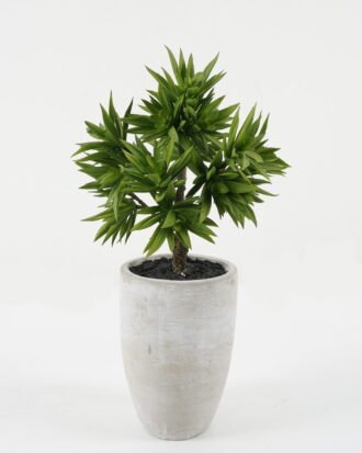 Artificial succulent 21*21*37cm Artificial succulent in Cement pot GS-51722149 Succulent YeahFlower is one of Chinese leading OEM manufacturers and exporters , supplying the silk flowers, wholesale artificial trees