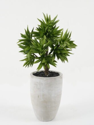 Artificial succulent 9*9*11cm Artificial succulent in PP pot GS-51722147 Succulent 3,000+ sqm showroom with thousands of artificial flowers, plants & trees ready for global sourcing.
