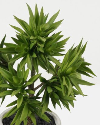 Artificial succulent 21*21*37cm Artificial succulent in Cement pot GS-51722149 Succulent YeahFlower is one of Chinese leading OEM manufacturers and exporters , supplying the silk flowers, wholesale artificial trees