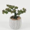 Artificial succulent 16*16*16cm Artificial succulent in Cement pot GS-51722159 Succulent YeahFlower is one of Chinese leading OEM manufacturers and exporters , supplying the silk flowers, wholesale artificial trees