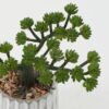 Artificial succulent in Cement pot GS-51722160_1 Artificial succulent 16*16*17cm Artificial succulent in Cement pot GS-51722160 Succulent YeahFlower is one of Chinese leading OEM manufacturers and exporters , supplying the silk flowers, wholesale artificial trees
