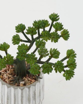 Artificial succulent 16*16*17cm Artificial succulent in Cement pot GS-51722160 Succulent YeahFlower is one of Chinese leading OEM manufacturers and exporters , supplying the silk flowers, wholesale artificial trees Artificial succulent 16*16*17cm Artificial succulent in Cement pot GS-51722160 Succulent YeahFlower is one of Chinese leading OEM manufacturers and exporters , supplying the silk flowers, wholesale artificial trees